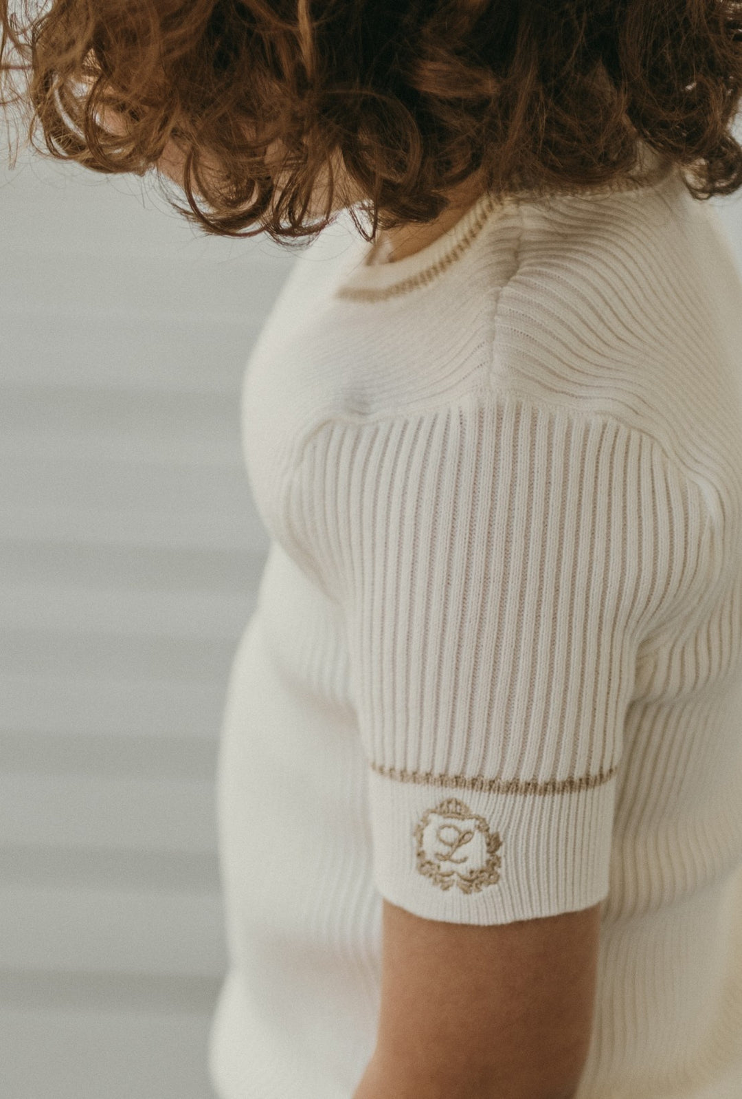 Emblem combo Stripe Short sleeve sweater