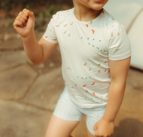 Camiseta con estampado de pájaros