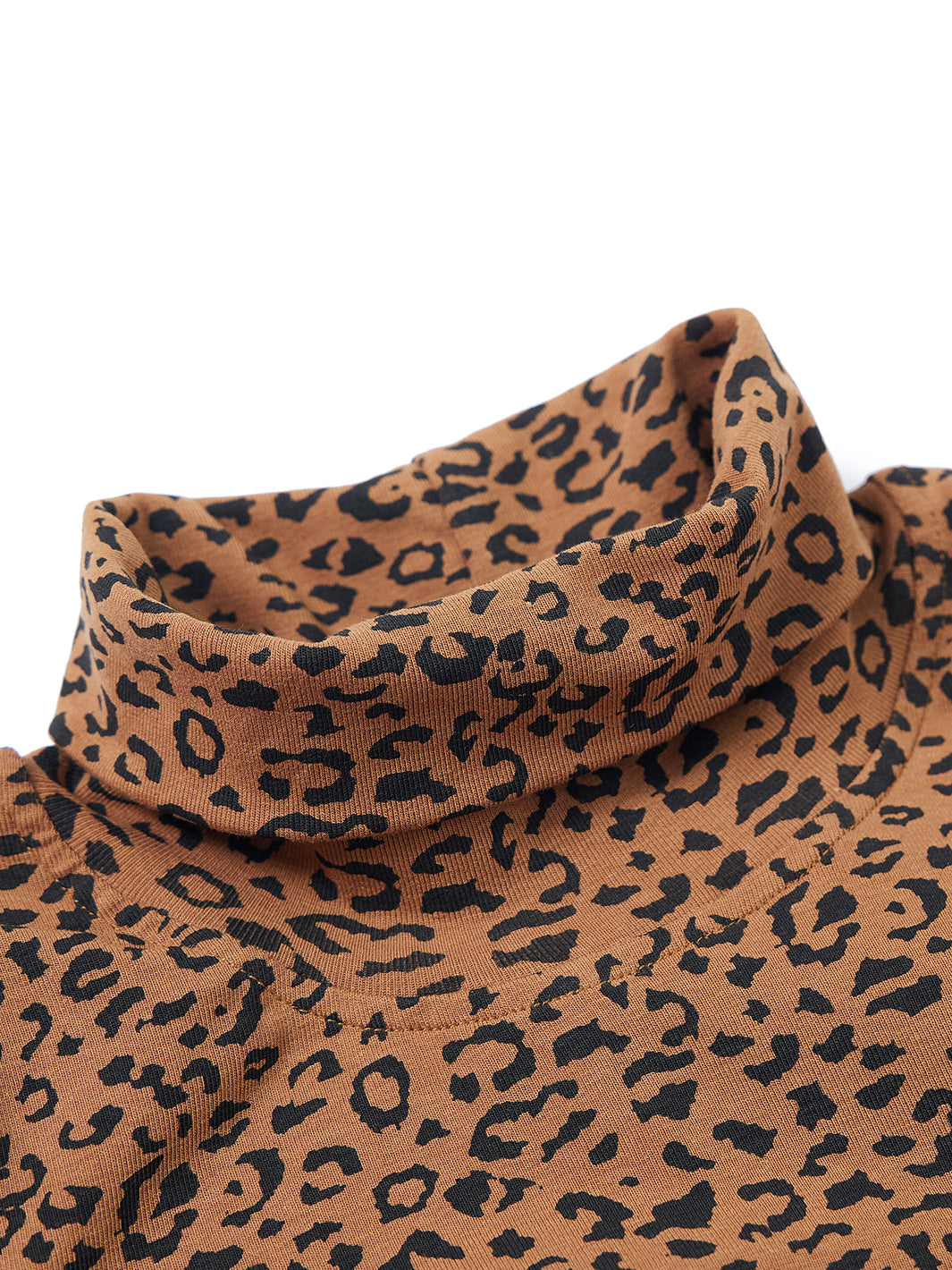 Leopard Turtleneck Dress