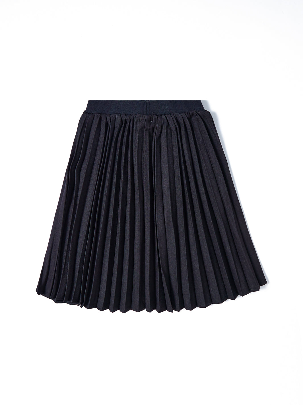 Accordion Pleated Skirt - Black