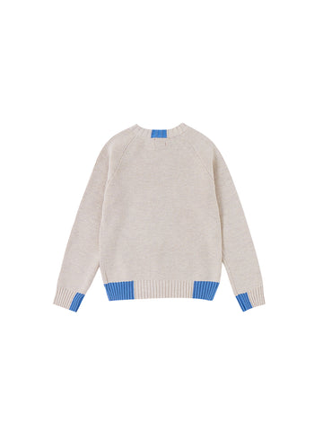 Color Block Sweater