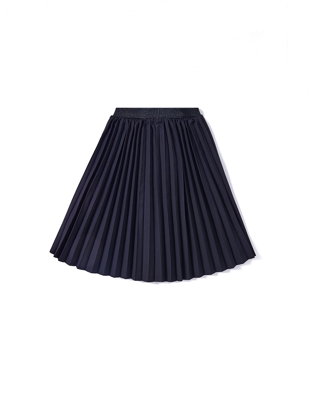 Accordion Pleated Skirt
