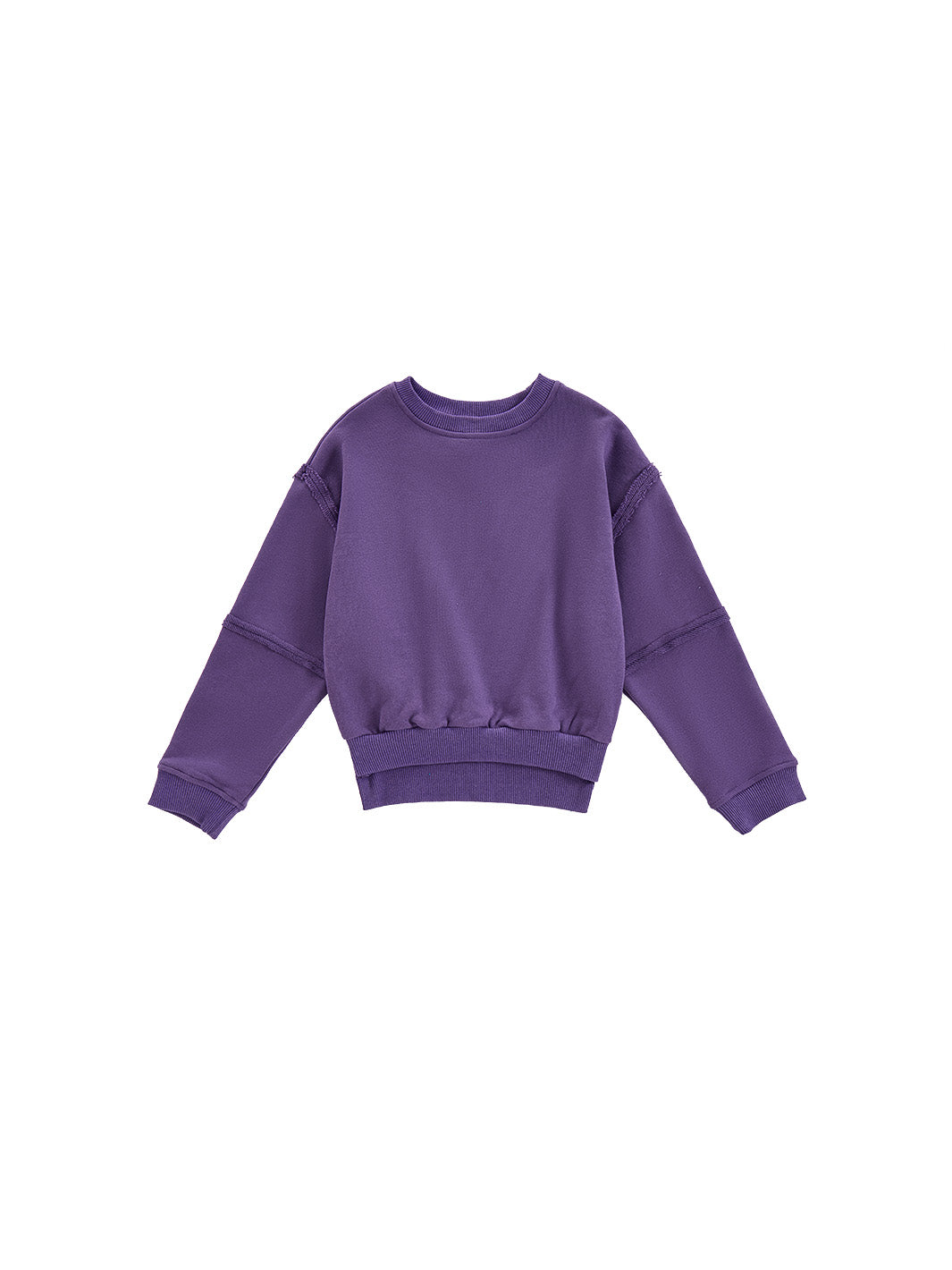 Raw Edge Crop Length Top - Purple