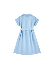 Denim Striped Dress