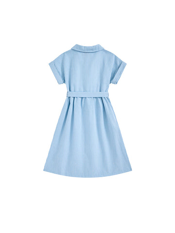 Denim Striped Dress