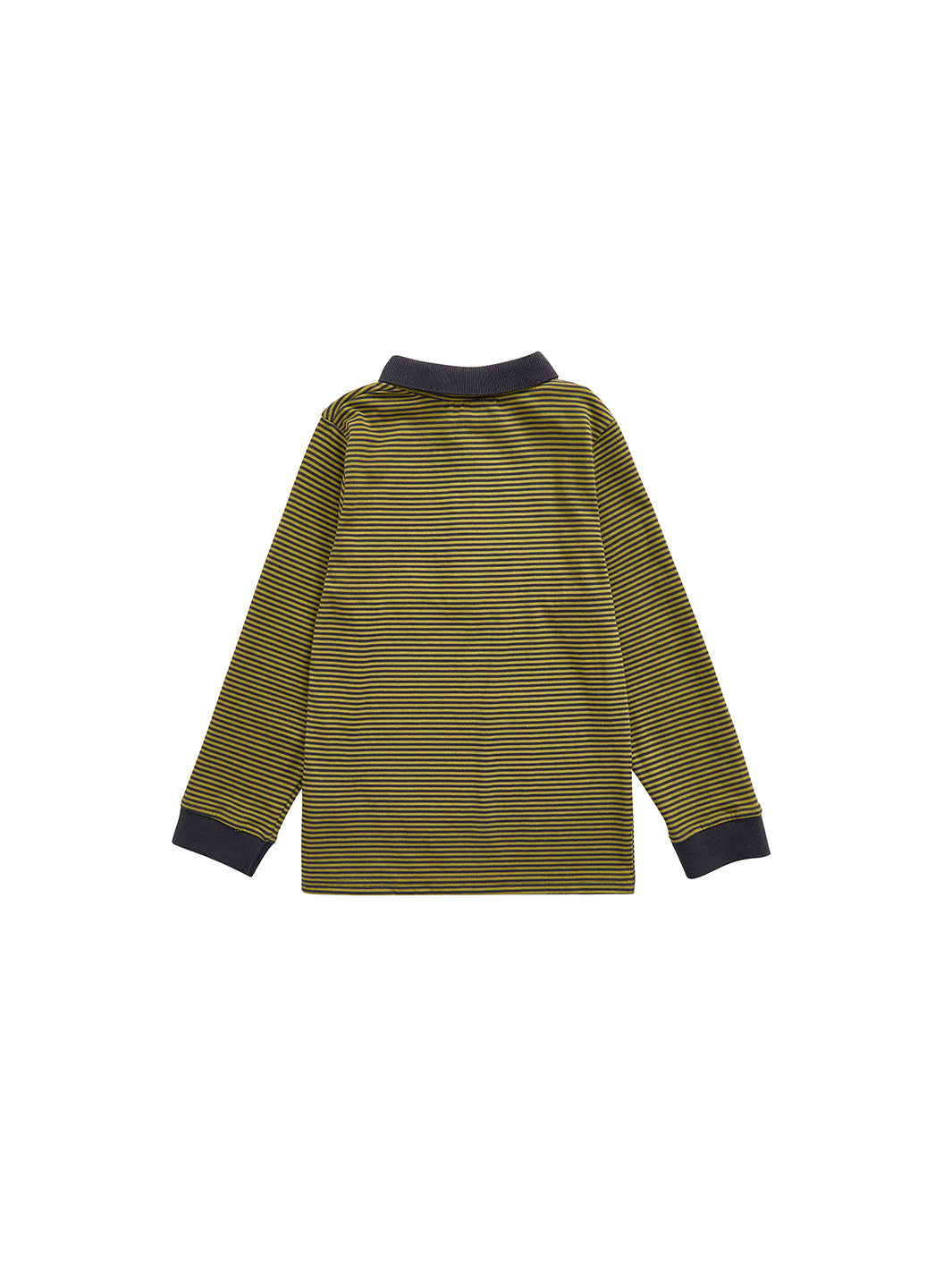 Striped Polo - Green