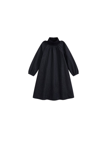 Denim Turtleneck Dress