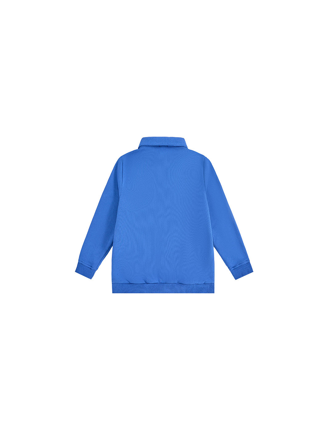 Solid Polo