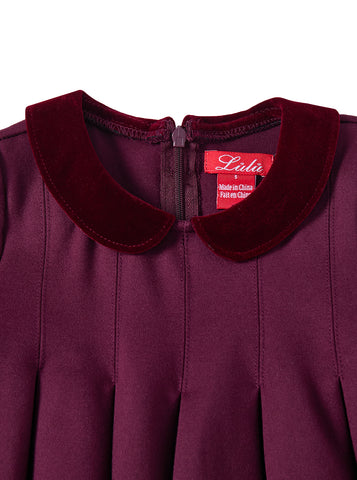 Velvet Collar Dress