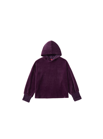 Velour Hooded Crop Length Top