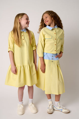 Combo Collar Dress