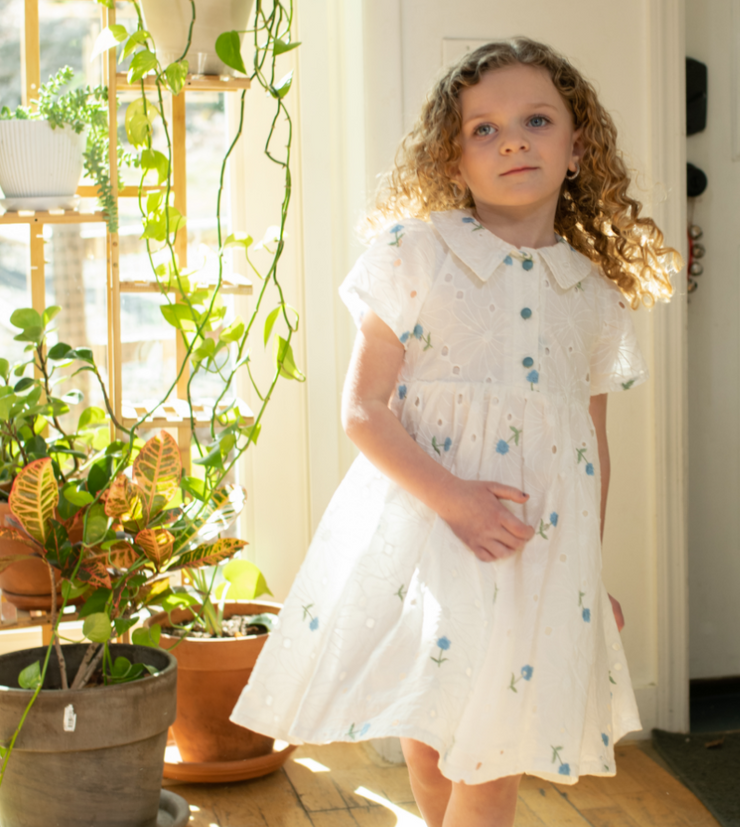Eyelet Dress
