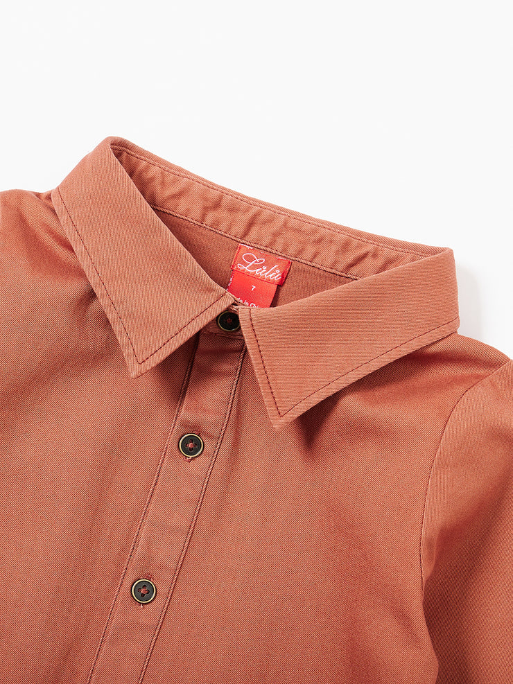 Shirt Collar Dress - Brick