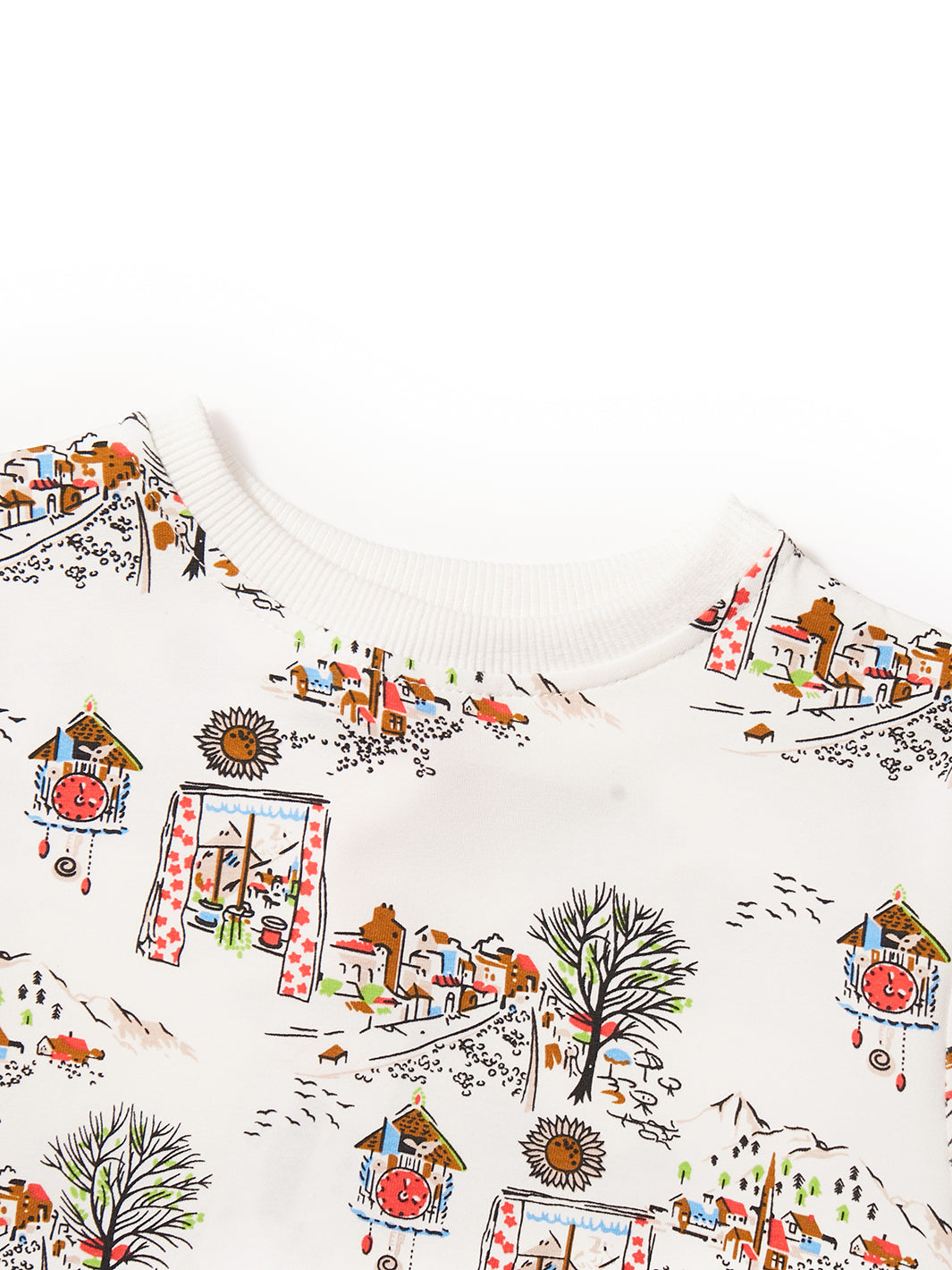 Scenery Print Top