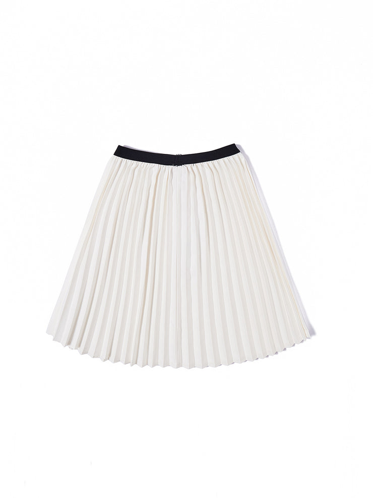 Accordion Pleats Skirt